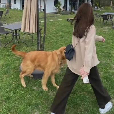 茶乡花正开